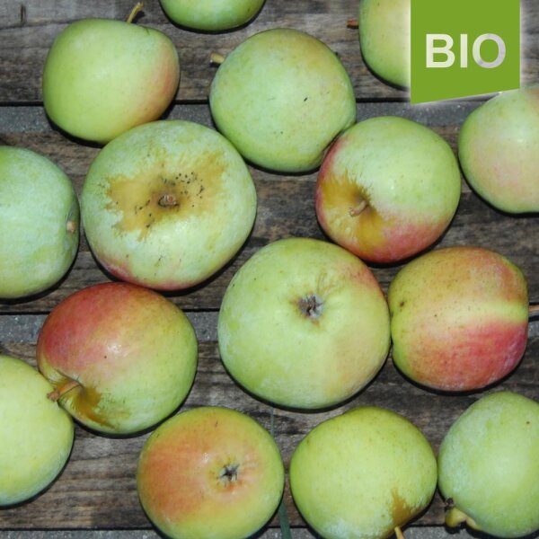 Zuccalmagliorenette Bio-Äpfel 4kg