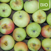 Jakob Lebel Bio-Äpfel 5kg|truncate:60