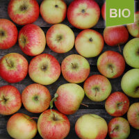 Bio-Apfel Rubinola 5kg|truncate:60