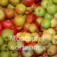Mostäpfel, 13kg Bio-Apfelsortenmix Saftäpfel