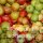 Mostäpfel, 13kg Bio-Apfelsortenmix Saftäpfel