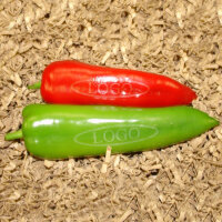LOGO-Spitzpaprika gemischt rot grün|truncate:60