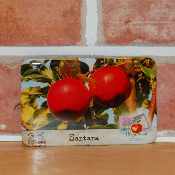 Santana Apfel / Souvenirs / Magnet