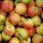 Goldparmäne Bio-Äpfel 5kg