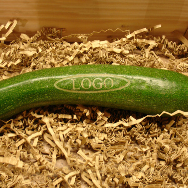 LOGO-Zucchini