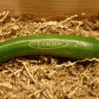 LOGO-Zucchini|truncate:60