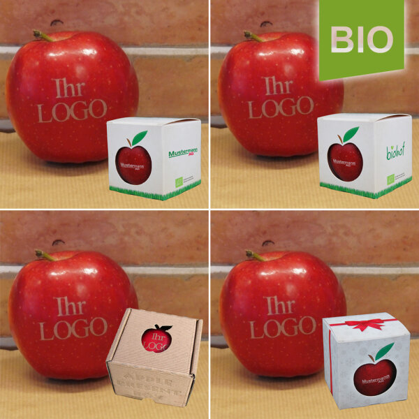 LOGO-Apfel rot in Box