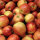 Bio-Äpfel Jonagored 5kg