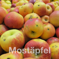 Mostapfel 13kg Bio-Dalinbel-Saftäpfel