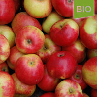 Juwel aus Kirchwerder Bio-Äpfel 6kg|truncate:60