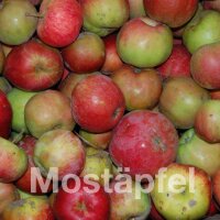 Mostäpfel, 13kg Bio-Jamba-Saftäpfel