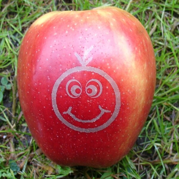 Roter mini Apfel mit Smilie "Fred"