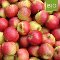 Bio-Topaz Äpfel 5kg|truncate:60