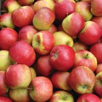 Bio-Topaz Äpfel 5kg