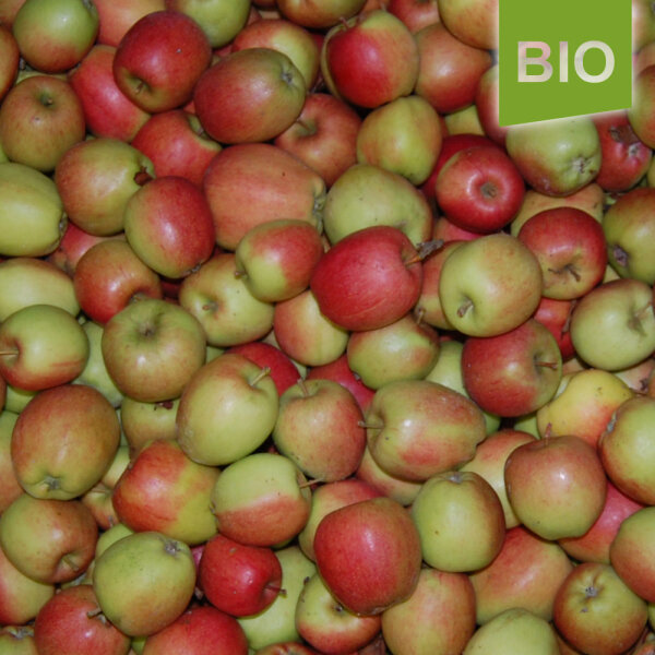 Bio-Äpfel Braeburn 6kg