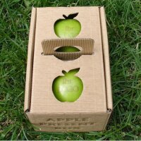 2 grüne Logo-Äpfel Laser in 2er Apple Present Box verpackt