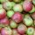 Schwarzwälder Renette Bio-Äpfel 5kg