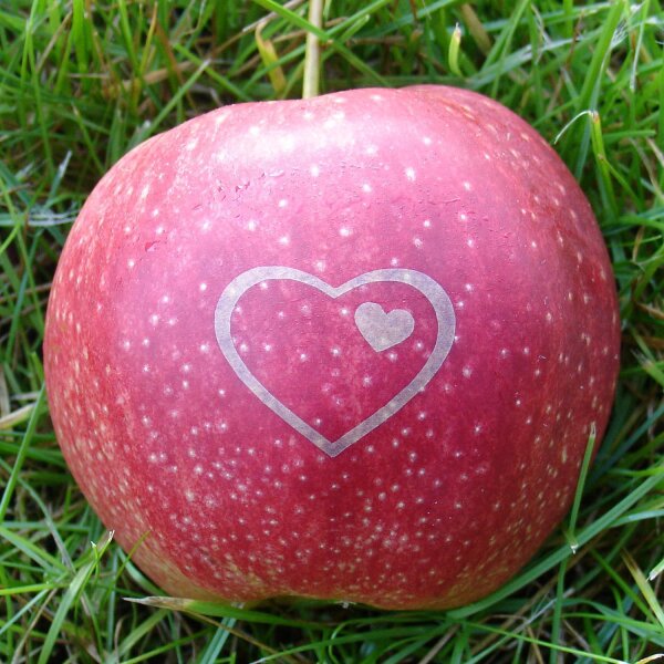 Roter Apfel mit Herz - Herzapfel