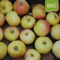 Bio-Äpfel Wohlschmecker aus Vierlanden 5kg|truncate:60