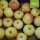 Bio-Äpfel Wohlschmecker aus Vierlanden 5kg