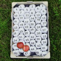Apfel-Lotto-Steige - 49 Äpfel in Papier gewickelt|truncate:60