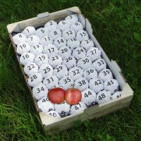Apfel-Lotto-Steige - 49 Äpfel in Papier gewickelt