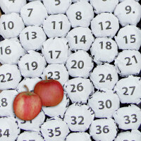 Apfel-Lotto-Steige - 49 Äpfel in Papier gewickelt
