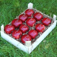 12 rote Logo-Äpfel in rustikaler Obstkiste
