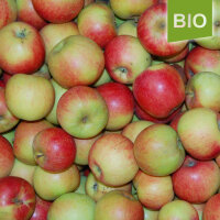 Bio-Alkmene Äpfel 6kg|truncate:60