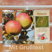 Grußkarte Ontario Apfel