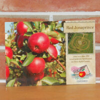 Ansichtskarte Red Jonaprince Apfel