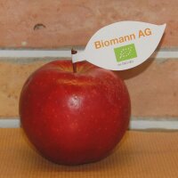 Roter Bio-Apfel mit individuellem Werbeblatt|truncate:60