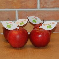 Roter Bio-Apfel mit individuellem Werbeblatt