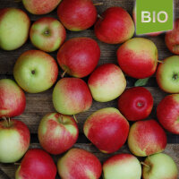 Retina Bio-Äpfel 5kg|truncate:60