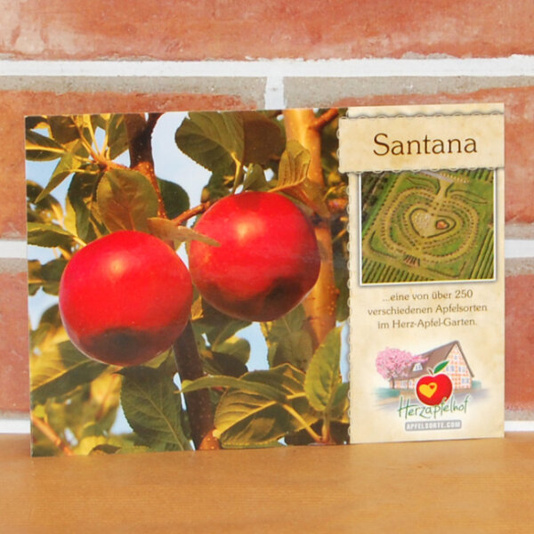 Ansichtskarte Santana Apfel