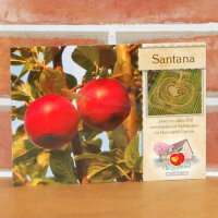 Ansichtskarte Santana Apfel|truncate:60