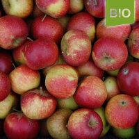 Bio-Äpfel Ingrid Marie 5kg|truncate:60