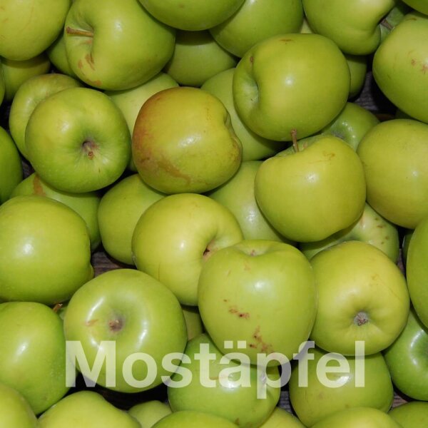 Mostäpfel 13kg krumme Früchte / Nicogreen