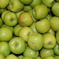 Mostäpfel 13kg krumme Früchte / Nicogreen