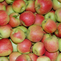 Apfel-Probierpaket - Süße Apfelsorten 5kg