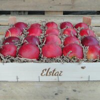 Elstar Bio-Äpfel 3kg-Kiste|truncate:60