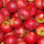 Elstar Bio-Äpfel 3kg-Kiste