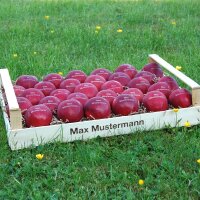 30 rote LOGO-Äpfel in Obstkiste dekorativ verpackt|truncate:60