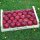 30 rote LOGO-Äpfel in Obstkiste dekorativ verpackt