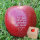 Apfel mit Branding Für den besten Lehrer der Welt!