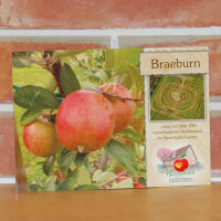 Ansichtskarte Braeburn Apfel|truncate:60