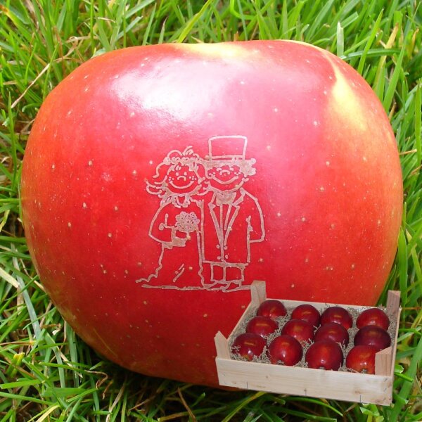 Liebesapfel rot / Brautpaar / 12 Äpfel Holzkiste / Kiste ohne Branding