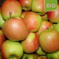 Bio-Demeter-Delbarestivale Äpfel 5kg|truncate:60