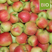 Bio-Demeter-Delbarestivale Äpfel 5kg