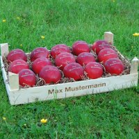 15 rote LOGO-Äpfel  in rustikaler Obstkiste|truncate:60